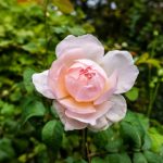 酷游娱乐官网:畅享无尽游戏乐趣的最佳选择 6sdg9