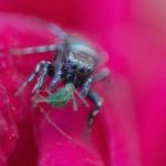 CCTV5高清体育频道在线观看直播全程流畅体验 qb6prag