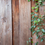 《直播港澳台》深度解析今日热点新闻事件 bu74gc5d4z