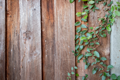 《直播港澳台》深度解析今日热点新闻事件 《直播港澳台》深度解析今日热点新闻事件