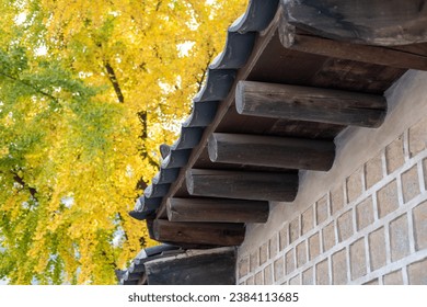 《王者荣耀》巅峰对决直播：精彩比赛视频全程回顾